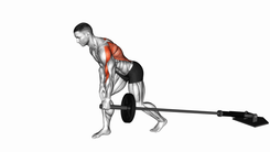 One Arm Row with Landmine